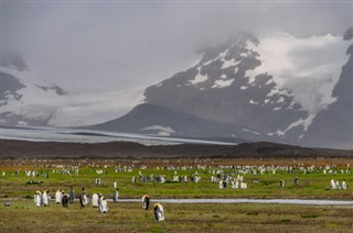 Falklandski otoci vremenska prognoza