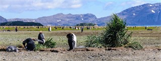 Falkland Islands weather forecast