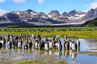 Falkland Islands weather forecast