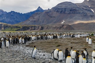 Falkland Islands weather forecast