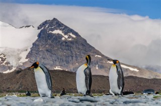 Falkland Islands weather forecast