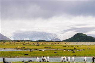 Falkland Islands weather forecast