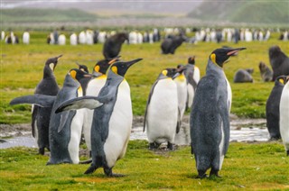 Islas Malvinas pronóstico del tiempo