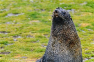 Falkland Islands weather forecast