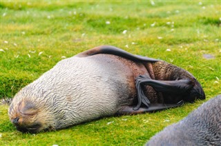 Falkland Islands weather forecast