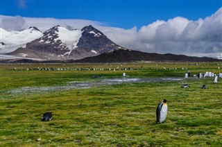 Falkland Islands weather forecast