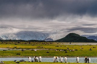 Falklandy prognoza pogody