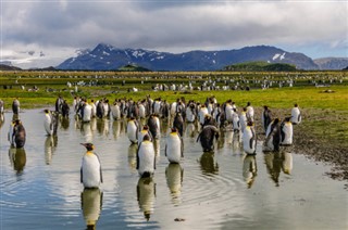 Falkland Islands weather forecast