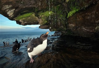 Falkland Islands weather forecast