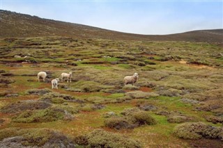 Falklandinsaaret sääennuste