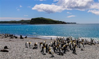 Falkland Islands weather forecast