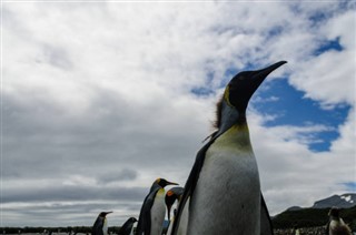 Falkland Eilanden weersvoorspelling