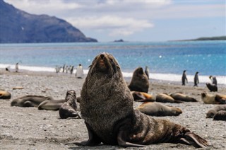 Falkland Islands weather forecast