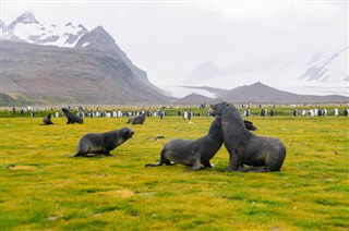 Falkland Islands weather forecast