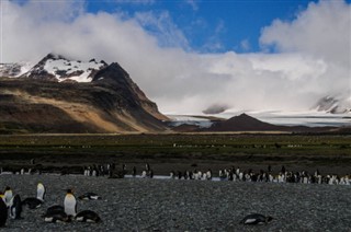 Falkland Islands weather forecast