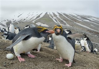 Falklandinsaaret sääennuste