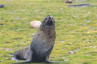 Falkland Islands weather forecast