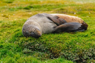 Falkland Islands weather forecast