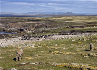 Falkland Islands weather forecast