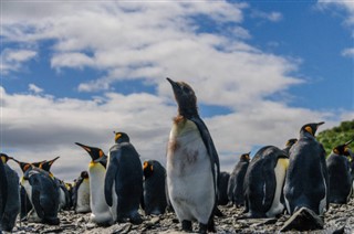 Falkland Islands weather forecast