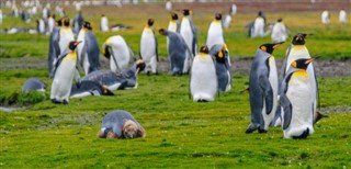 Falkland Islands weather forecast