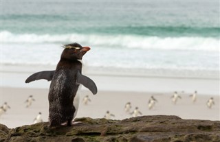 Falkland Islands weather forecast