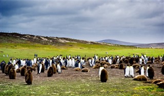 Falkland Islands weather forecast