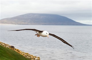 Falkland Islands weather forecast