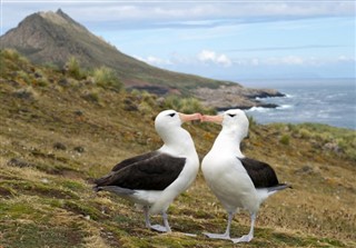 Falkland Islands weather forecast