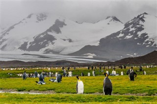 Falkland Islands weather forecast