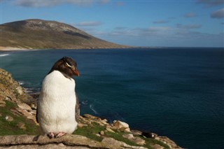 Falkland Islands weather forecast