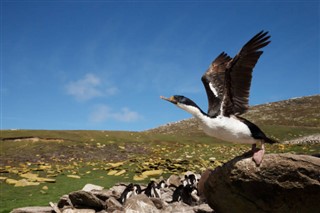 Falklandy prognoza pogody