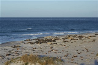 Falkland Islands weather forecast