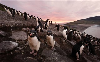 Falkland Islands weather forecast