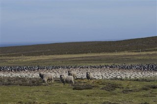 Falklandinsaaret sääennuste