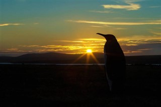 Falkland Islands weather forecast