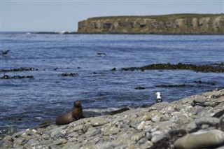 Falkland Islands weather forecast