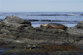 Falkland Islands weather forecast