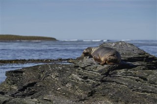 Falkland Islands weather forecast