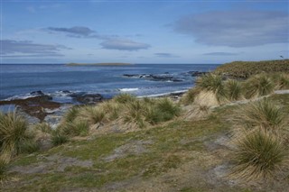 Falkland Islands weather forecast