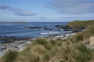 Falkland Islands weather forecast