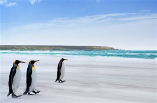 Falkland Islands weather forecast