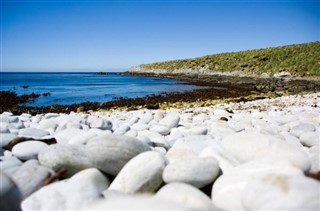 Falkland Islands weather forecast