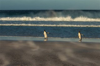 Falkland Islands weather forecast