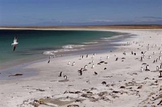 Falkland Islands weather forecast