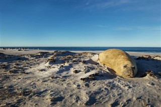 Falkland Islands weather forecast