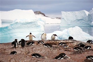 Falklandski otoci vremenska prognoza