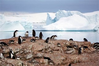 Falkland Islands weather forecast