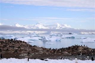 Falkland Islands weather forecast