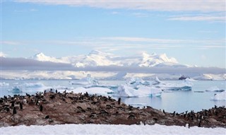 Falkland Islands weather forecast